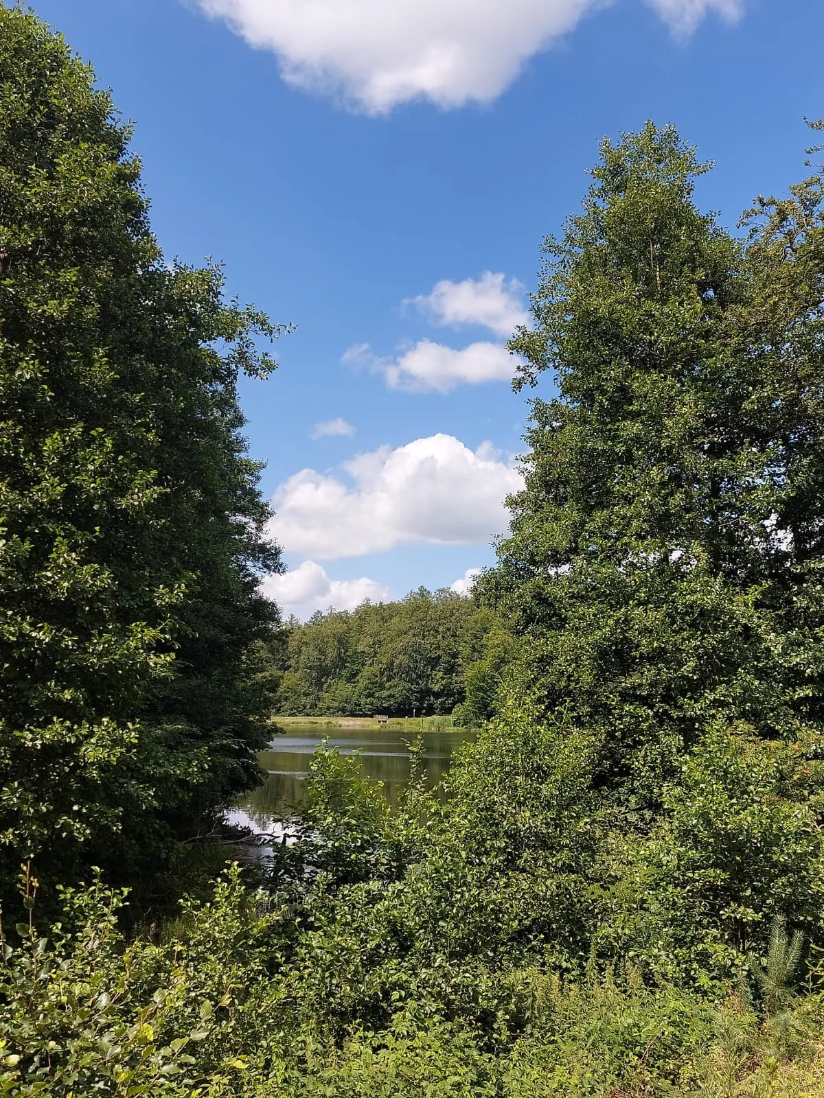 12.07 - 22.07.2024 Obóz rekreacja, survival, motocross w Ogrodnikach