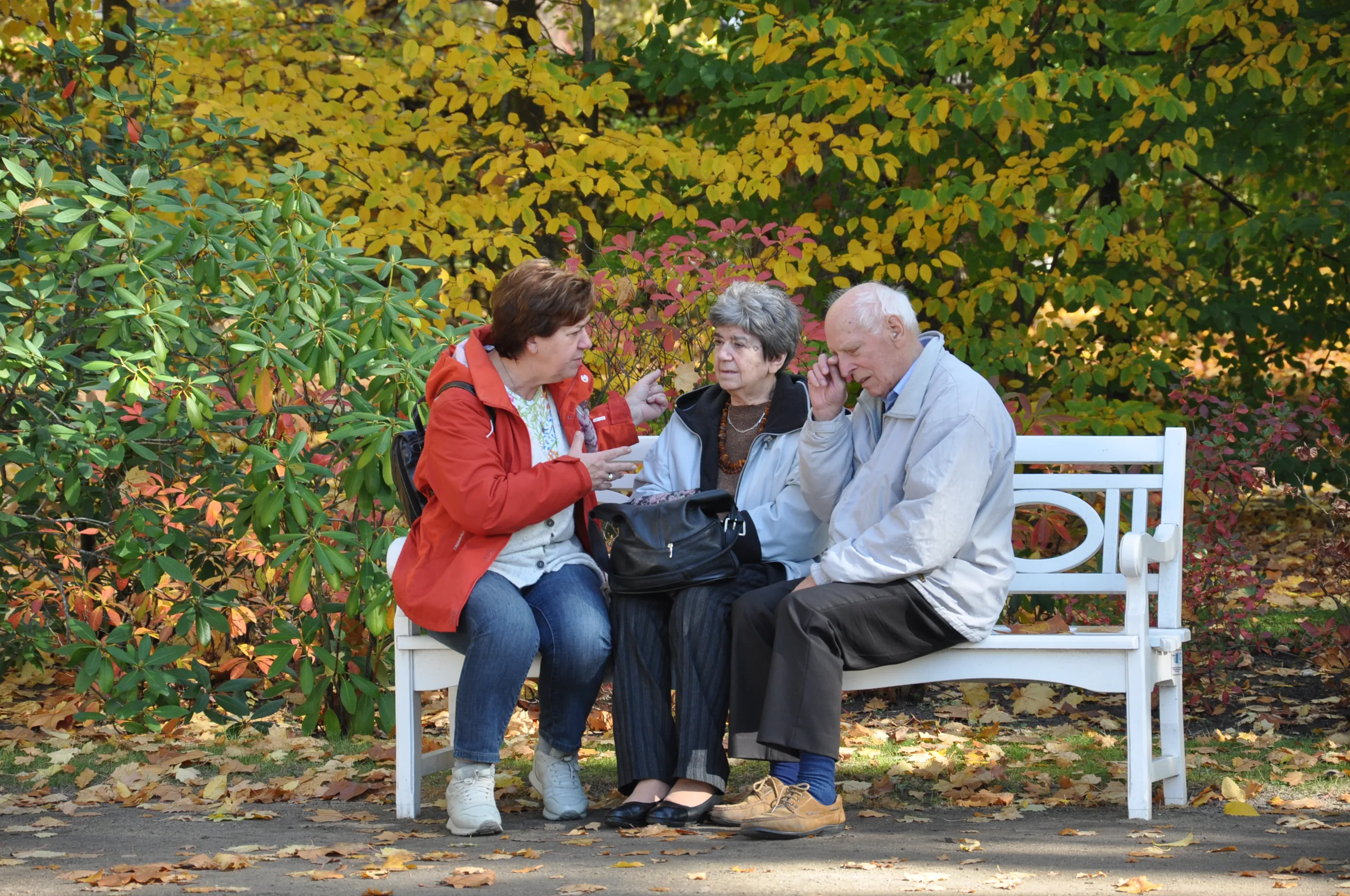 19.10.2014 Wycieczka Klubu Aktywnego Seniora do Nieborowa i Łowicza
