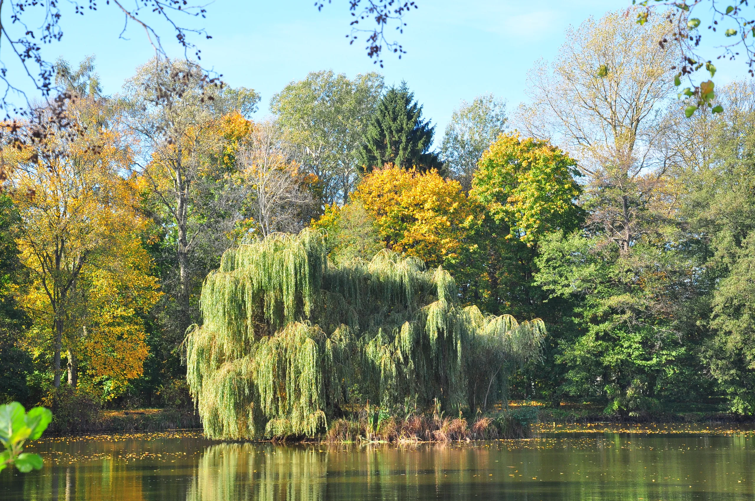 19.10.2014 Wycieczka Klubu Aktywnego Seniora do Nieborowa i Łowicza
