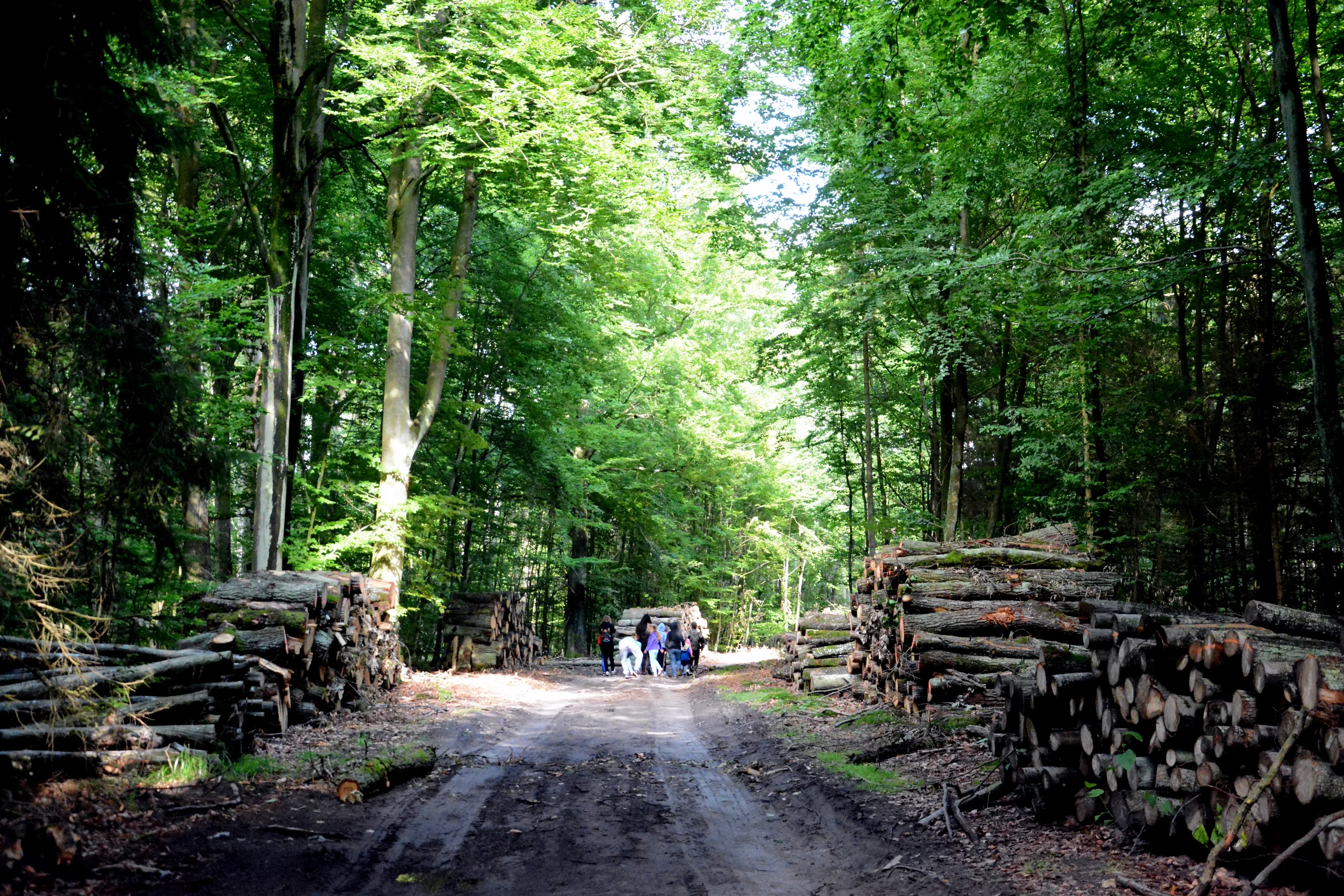 05.07 - 15.07.2018 Obóz rekreacyjno sportowy w Sarnówku