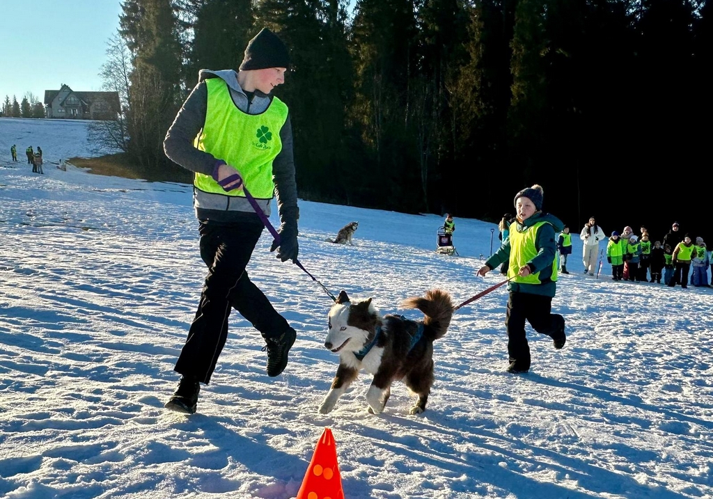 25.01 - 31.01. 2026 Obóz zimowy z psami zaprzęgowymi - Ząb