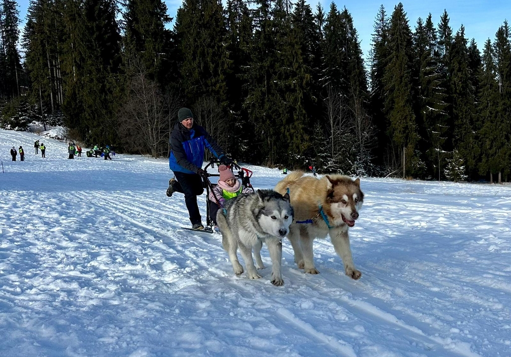25.01 - 31.01. 2026 Obóz zimowy z psami zaprzęgowymi - Ząb