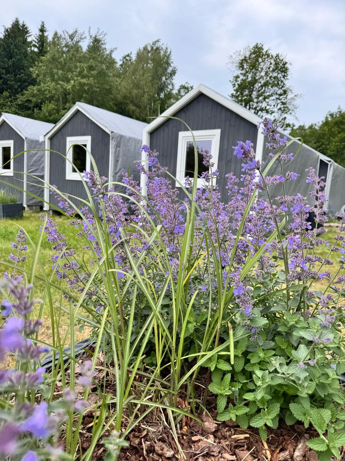 Obóz motocrossowy w Ogrodnikach